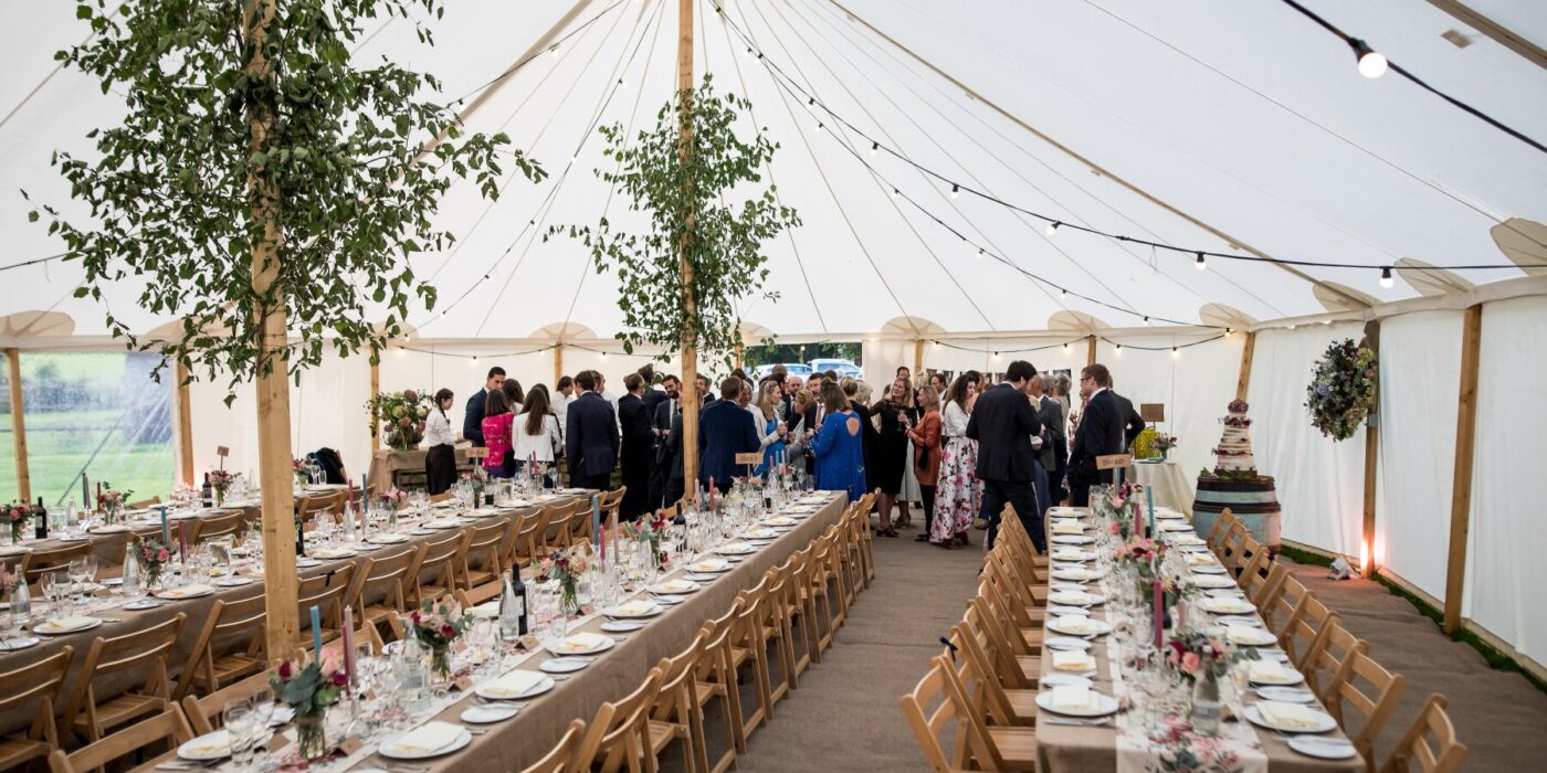 Canvas and Beech Chairs