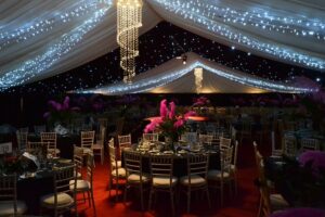 star cloth marquee lining